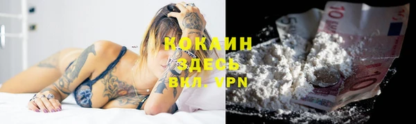 тгк Аркадак