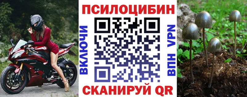 Купить где  Анива  Галлюциногенные грибы Psilocybine cubensis 